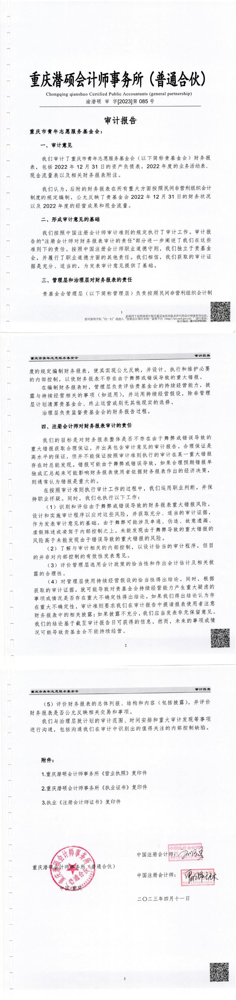 2022年审计报告